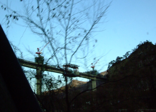 c0000134_1651049.jpg