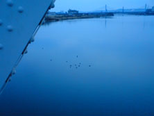 f0039934_117571.jpg