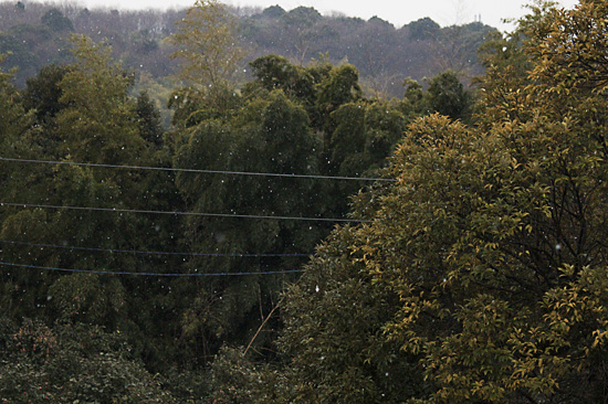 e0044635_12464255.jpg