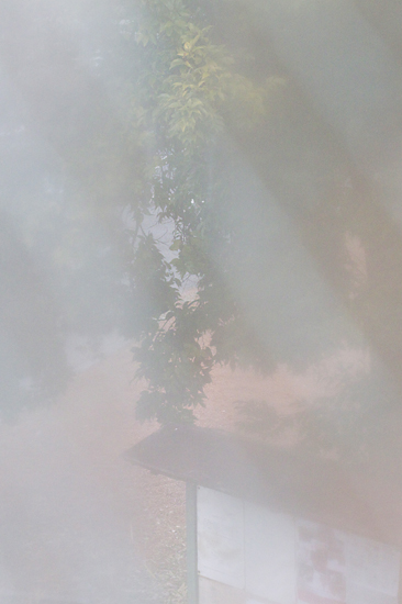 e0044635_12483518.jpg