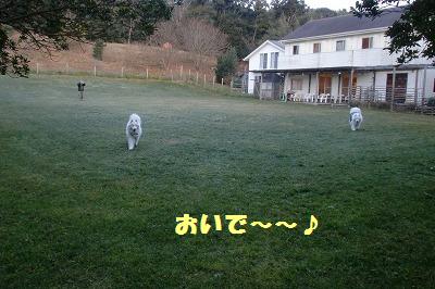e0196135_20115051.jpg