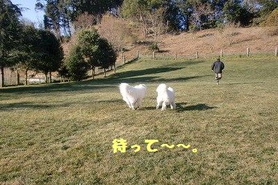 e0196135_2014119.jpg
