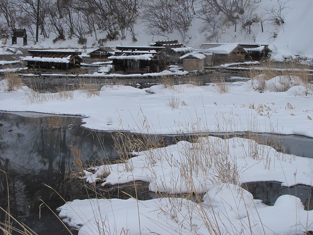 b0097836_16525830.jpg