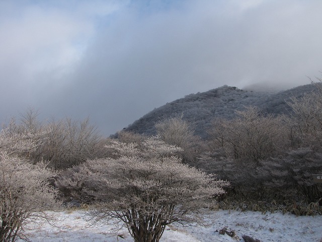 b0097836_1653934.jpg