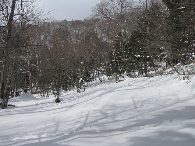 b0097836_17484342.jpg