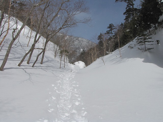 b0097836_1751493.jpg