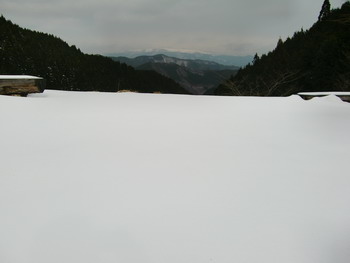 c0183137_1104864.jpg