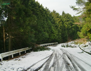 c0183137_1312992.jpg