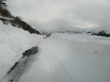 c0183137_154187.jpg