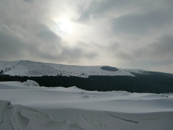 c0183137_232110.jpg