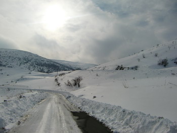 c0183137_234926.jpg