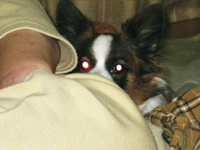 a0149240_20301460.jpg