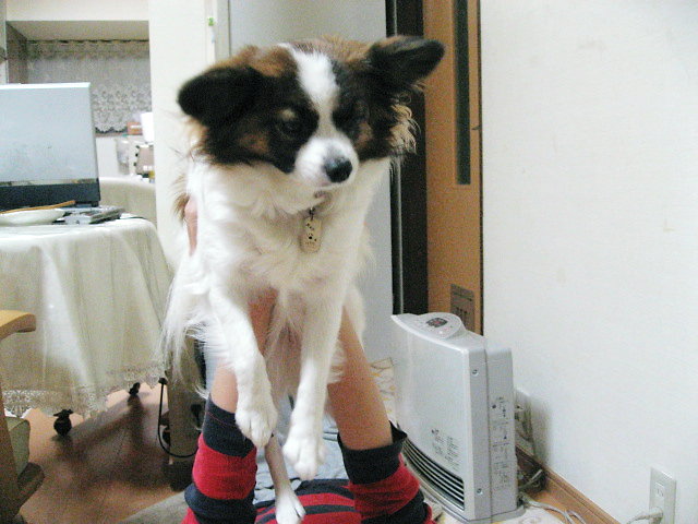 a0149240_2034995.jpg