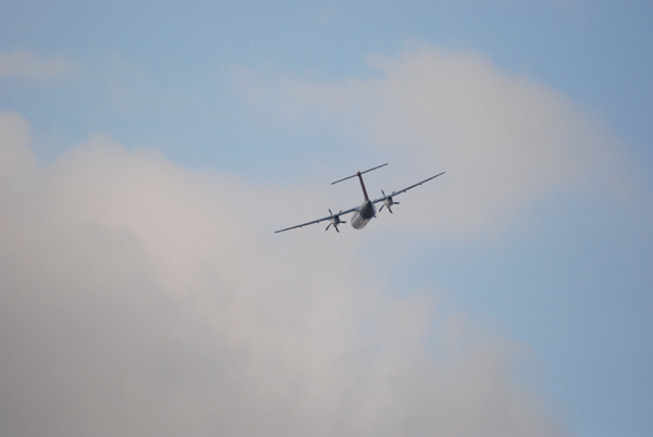 b0067346_14544073.jpg
