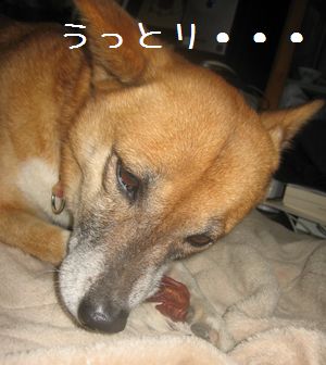 a0054948_20412747.jpg