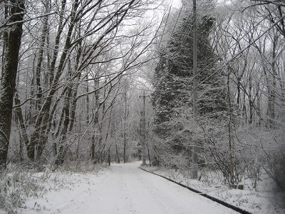 d0033151_2220115.jpg