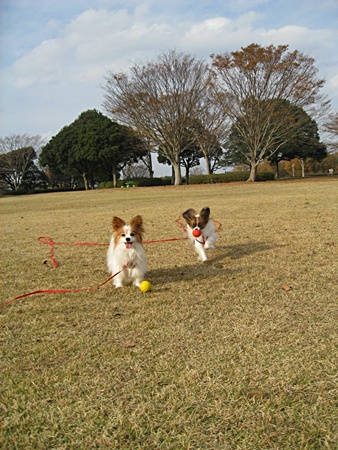 c0074156_10263961.jpg