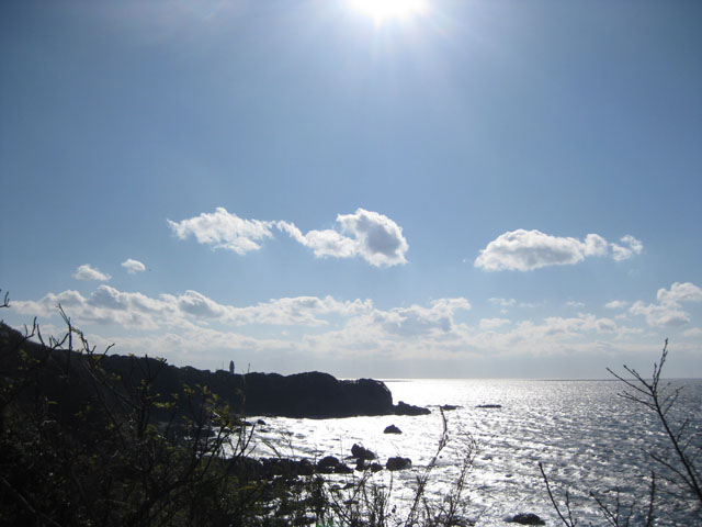 f0183656_324617.jpg