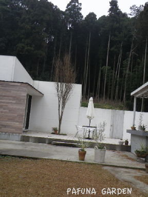 e0184558_911625.jpg