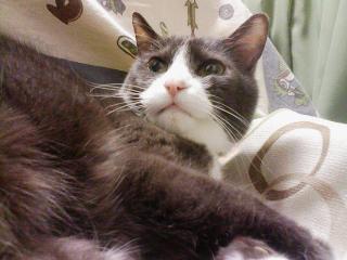 c0225561_20122236.jpg