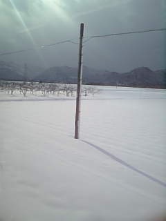 c0195362_16544384.jpg