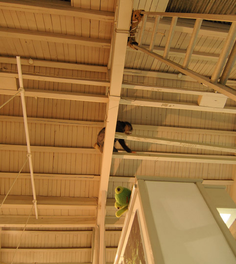 e0147669_0484225.jpg