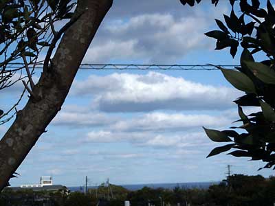 e0097770_2265196.jpg