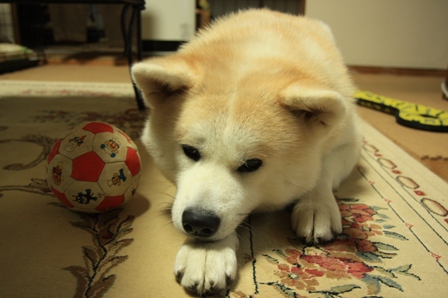 f0047870_8511361.jpg