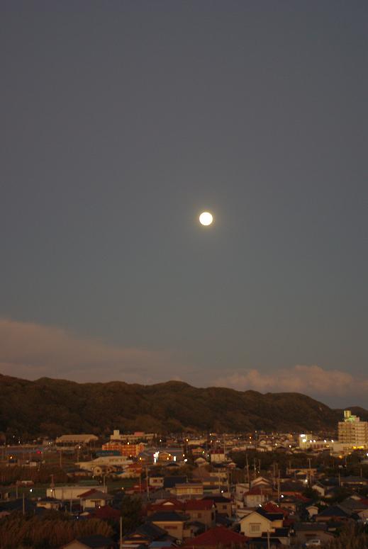 c0025471_1052542.jpg