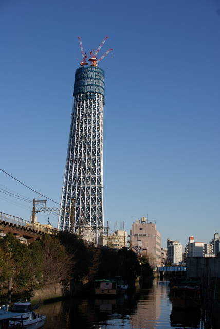 a0113874_23284554.jpg