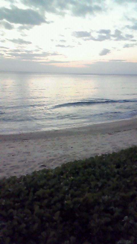 d0120078_16483060.jpg