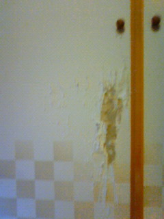 c0135480_23223667.jpg