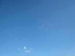 a0062983_11251572.jpg