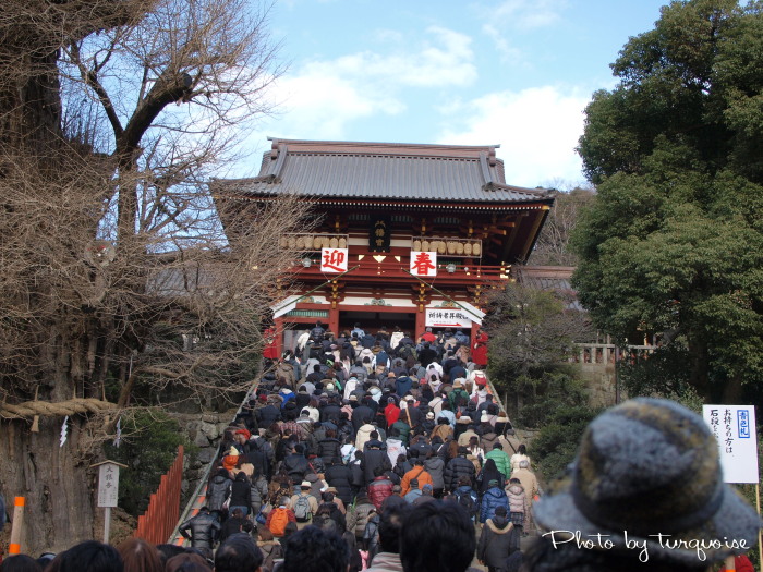 c0201284_00338.jpg