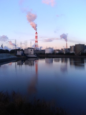 e0190885_1995071.jpg