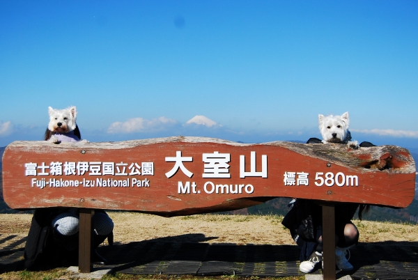e0110888_0311638.jpg