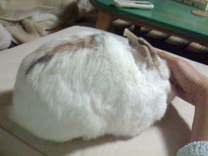 f0201191_2131992.jpg