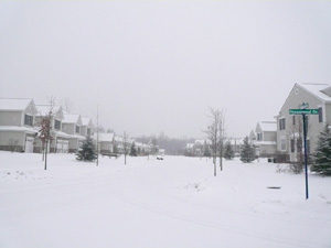 f0199394_905966.jpg