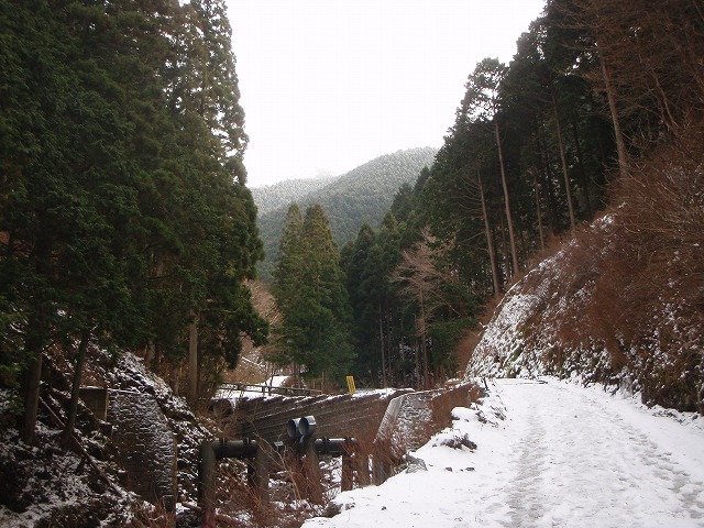 c0147398_22202092.jpg