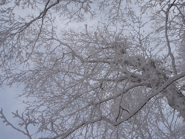 c0147398_22205270.jpg