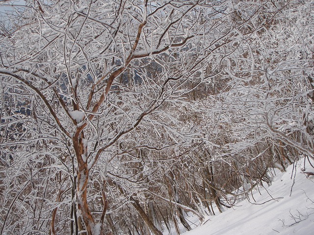c0147398_2220558.jpg