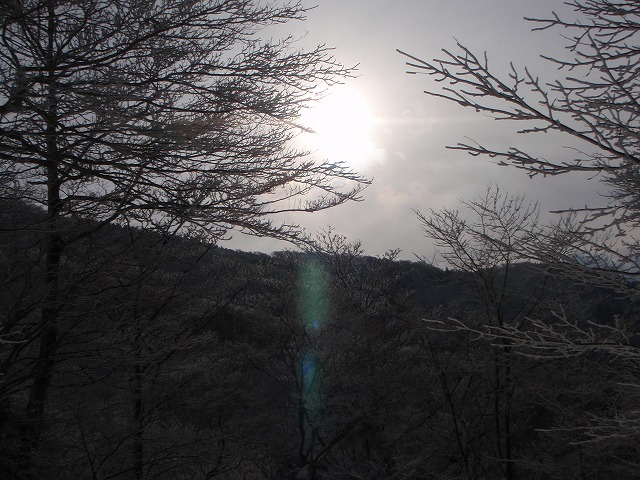 c0147398_22205912.jpg