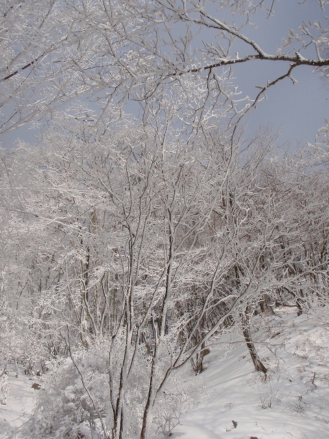 c0147398_22211924.jpg