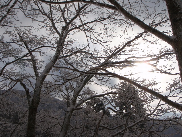 c0147398_22212866.jpg