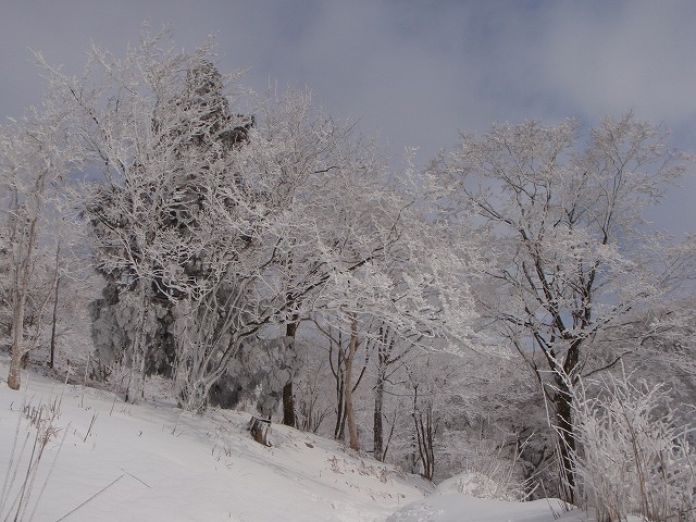 c0147398_22213579.jpg