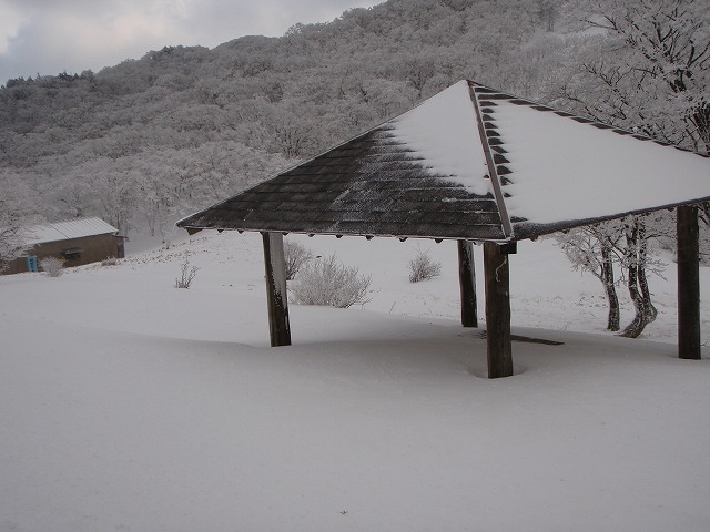 c0147398_22214529.jpg