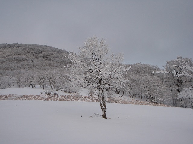 c0147398_222249.jpg