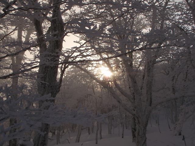 c0147398_22233192.jpg