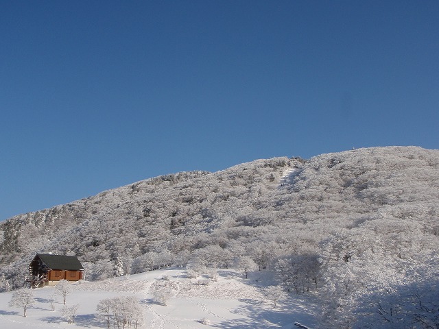c0147398_22234179.jpg
