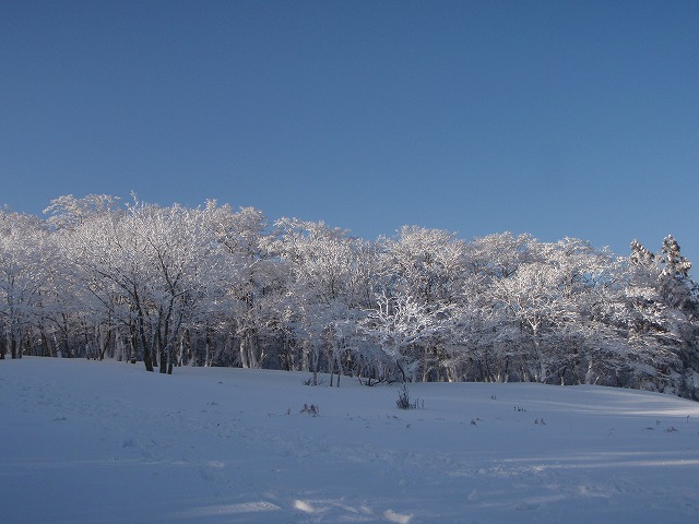 c0147398_22234814.jpg
